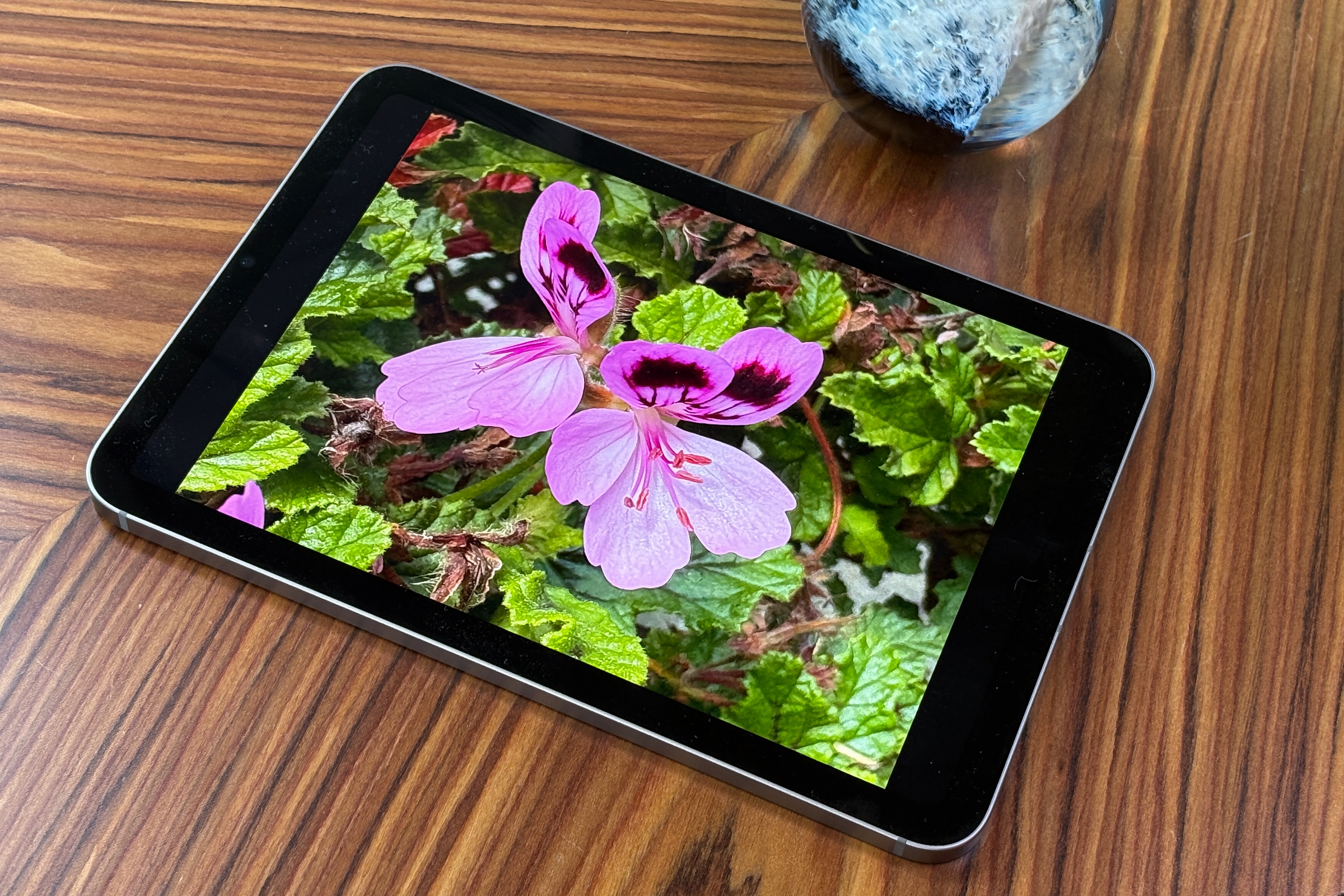 iPad mini: Buy now or wait?