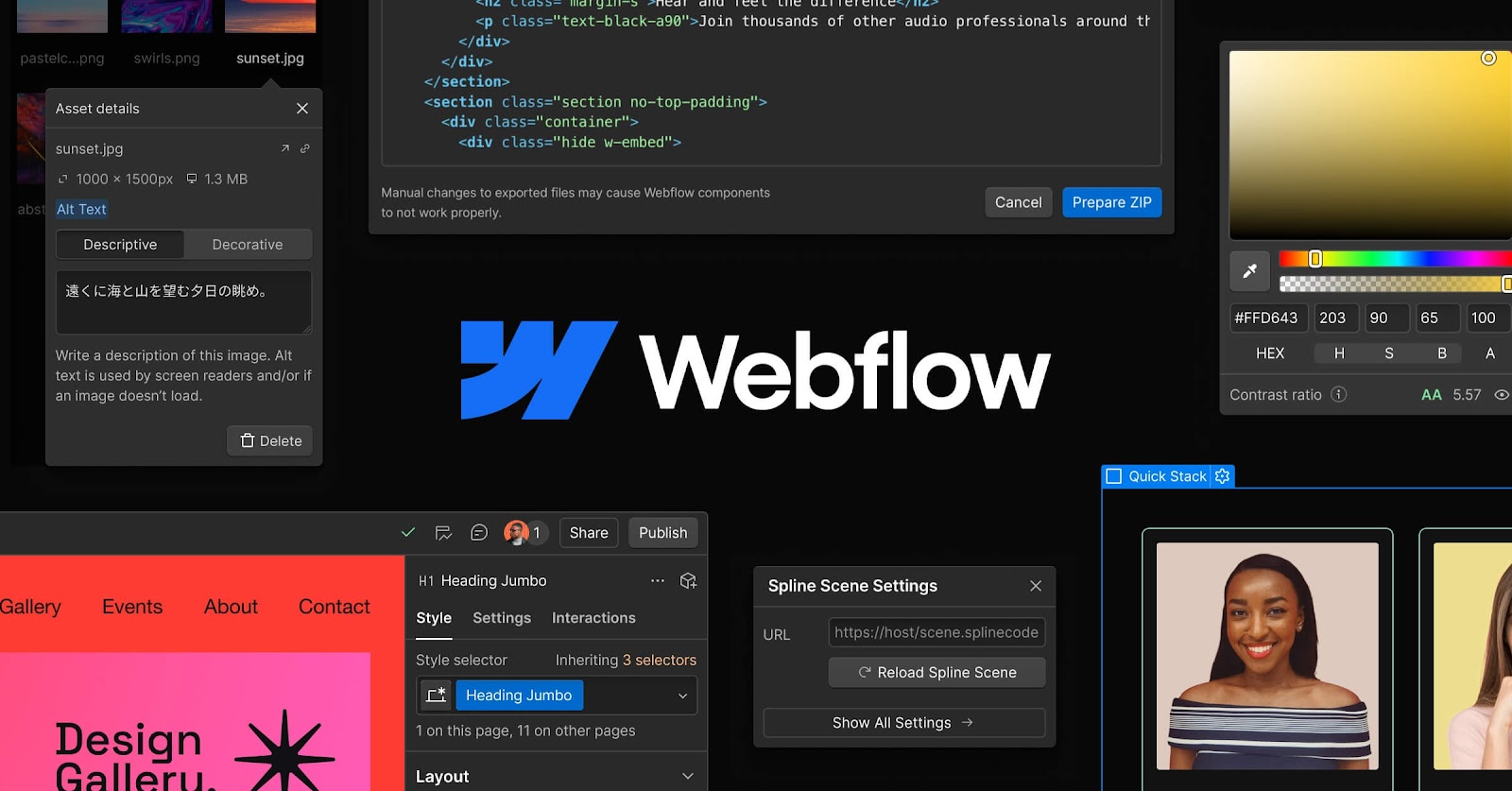 Webflow interface