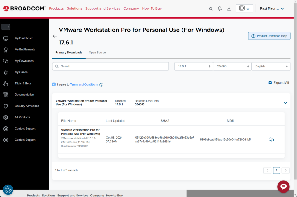 Windows 11 Vmware workstation 17