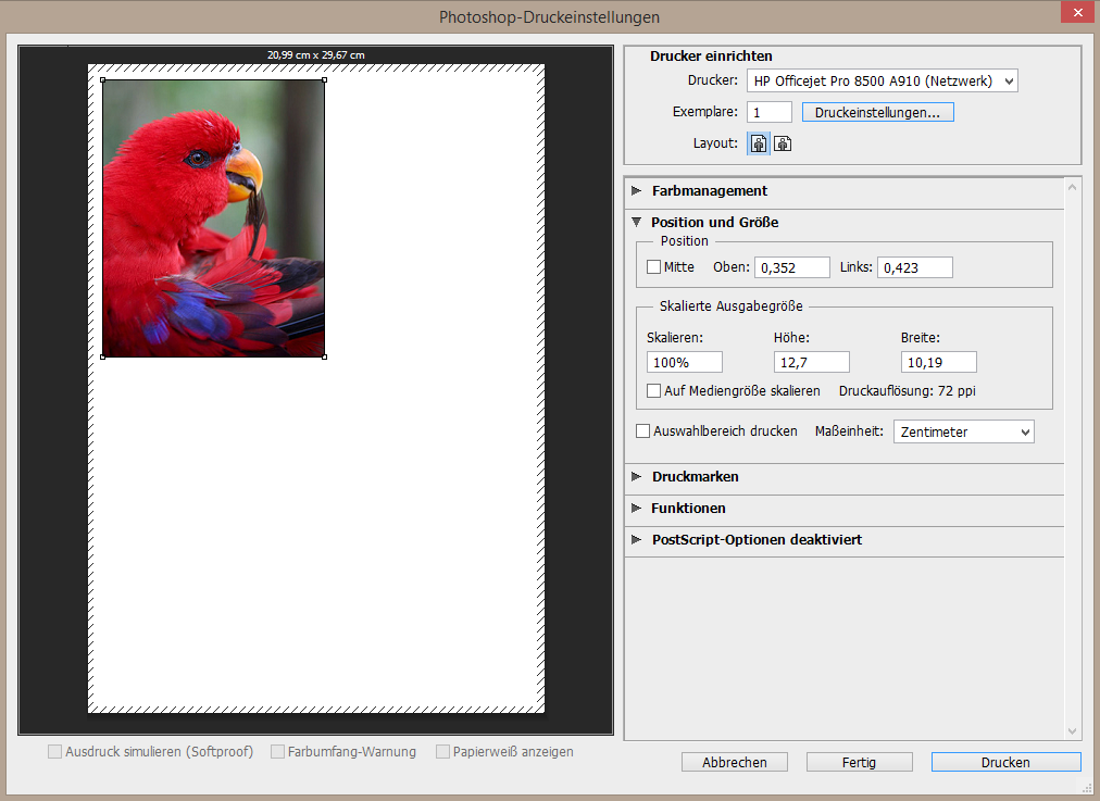 Print dialog of Adobe Photoshop