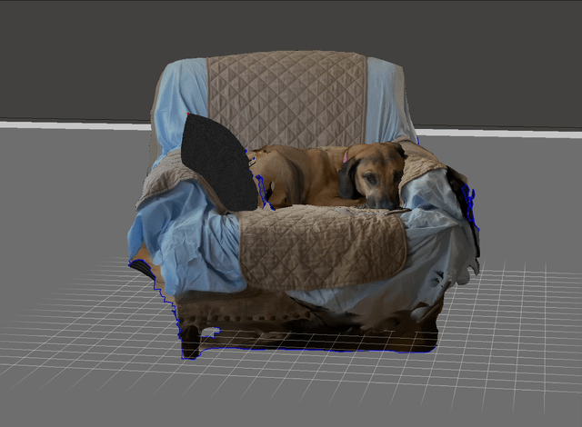 Scanned video of dog, making 3D model out of it to print later, not sure how to convert 