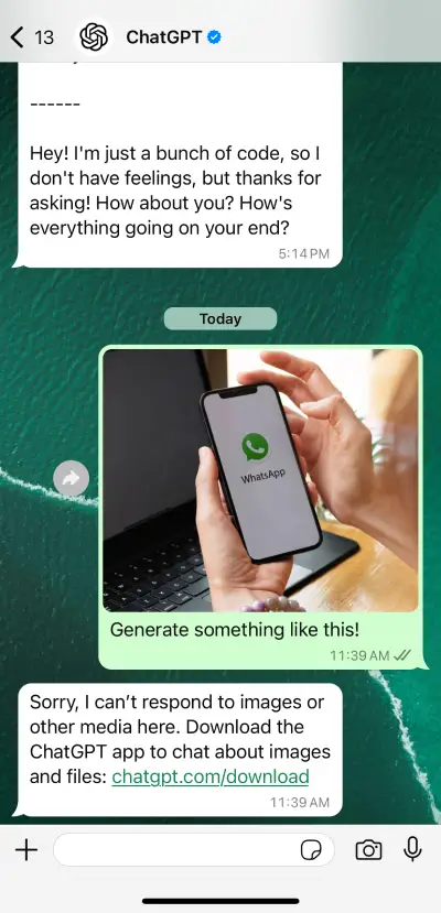 Limitations of using ChatGPT on WhatsApp
