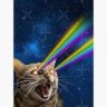 kittieswithlazers