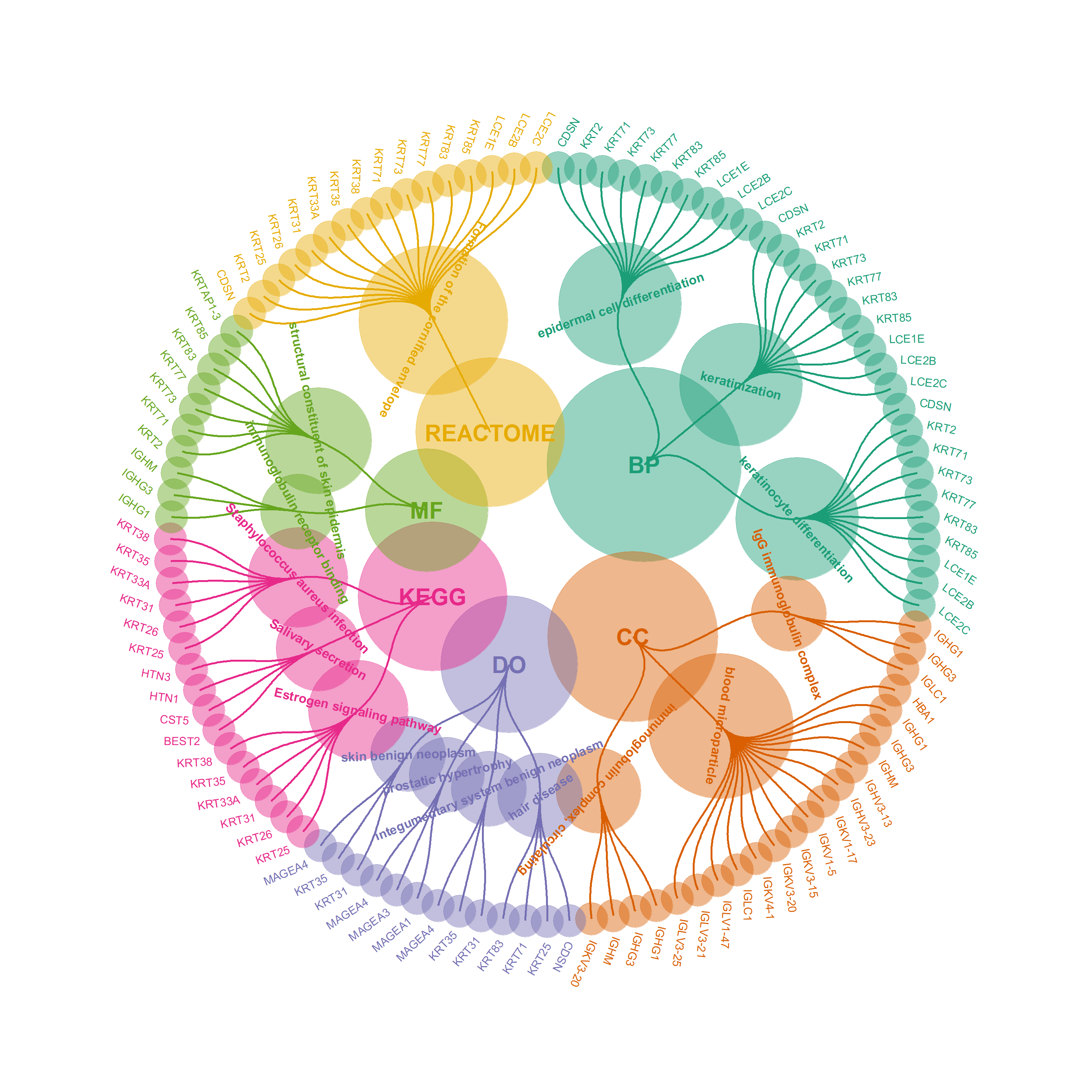 Enrichment diagram