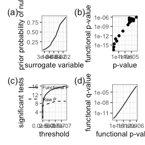 Functional FDR and p-value quantities