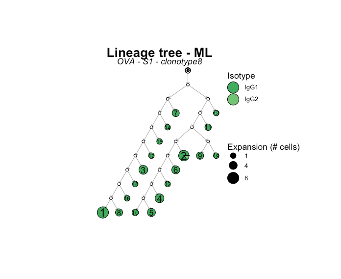 Lineage Plot