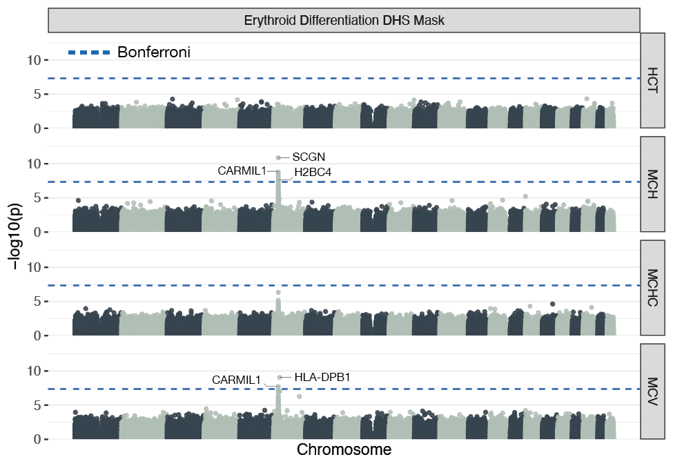 Plot of Erythroid Differentiation DHS Mask